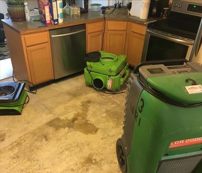3 pieces of green drying equipment in a kitchen 