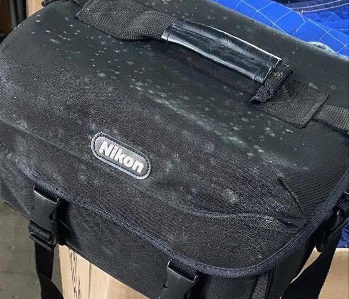Mold growing on a camera bag.