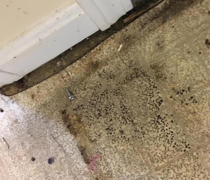 tile with dirt and black spots on it