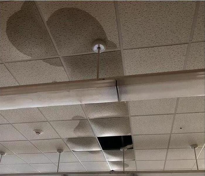 ceiling tiles wet